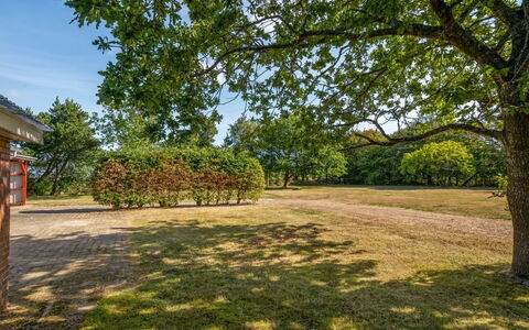 Agla - 2.5Km from the Sea: Blau, Daytime, Baum, Ast, Blatt, Natürlichen Umgebung, Natur, Einfach, Landschaft, Wiese