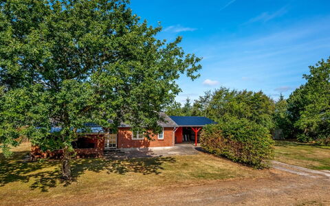 Agla - 2.5Km from the Sea: Blau, Baum, Gras, Blatt, Natur, Ast, Landschaft, Strauch, Einfach
