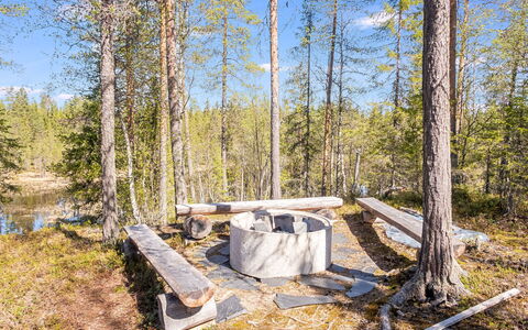 Kiehtäjän Lahti: Natürlichen Umgebung, Holz, Natürliche Landschaft, Landschaft, Pflanzengemeinschaft, Wildnis, Wald, Kofferraum, Wald, Naturschutzgebiet