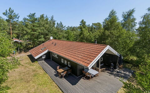 Aimo - 300M from the Sea: Vegetation, Strauch, Frühling, Hütte, Garten, Schatten, Hinterhof, Garten, Stuhl