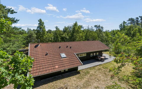 Aimo - 300M from the Sea: Vegetation, Strauch, Frühling, Hütte, Garten, Schatten, Hinterhof, Garten, Stuhl