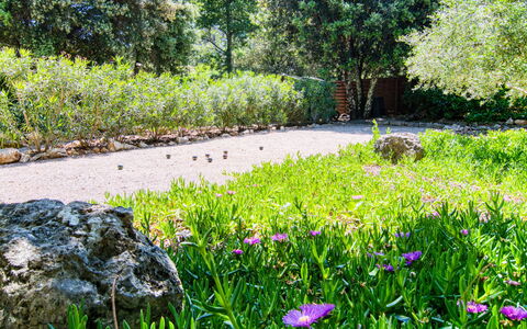 Villa Hestia: Garten, Strauch, Pflanzengemeinschaft, Ground, Frühling, Botanischer Garten, Landscaping, Schatten, Rasen