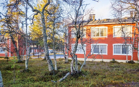 Rautulampi G14: Ast, Baum, Zweig, Haus, Zuhause, Winter, Kofferraum, Einfrieren, Schnee, Garten