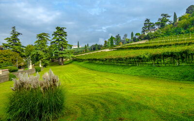 Il Vigneto, Verona, Pool, Wifi