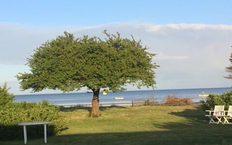 Viveke - 10M from the Sea: Holz, Zuhause, Veranda, Deck, Hartholz, Dach, Holzbeize, Holzboden, Eco Hotel