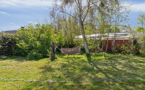 Edgar - 300M from the Sea: Gras, Grün, Blatt, Vegetation, Strauch, Garten, Grundstueck, Ländliches Gebiet