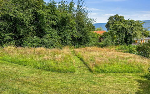 Ågot - 350M from the Sea: Gras, Grün, Blatt, Vegetation, Strauch, Wiese, Pflanzengemeinschaft, Grundstueck, Ground