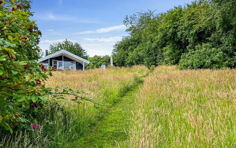 Ågot - 350M from the Sea: Gras, Wiese, Grundstueck, Hütte, Ländliches Gebiet, Wiese, Gartenbauten, Garten, Schuppen