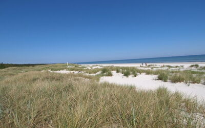 Amaru - 500M from the Sea