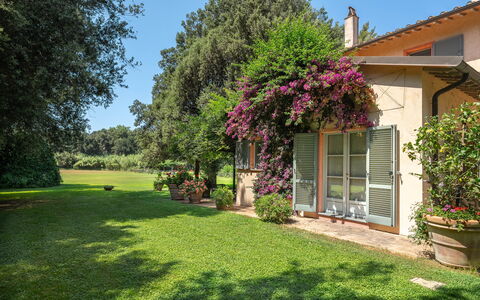 Casale Rosa: Strauch, Garten, Haus, Zuhause, Pflanzengemeinschaft, Grundstueck, Ground, Rasen, Frühling