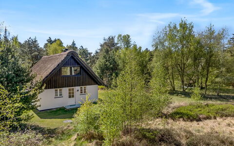 Einari - 1.2Km from the Sea: Haus, Dach, Zuhause, Hütte, Schuppen, Gartenbauten, Abstellgleis, Garten, Blockhaus, Hütte