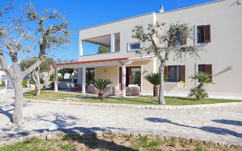 Villa Don Sante In Locorotondo Puglia: Pflanze, Himmel, Gebäude, Eigentum, Fenster, Haus, Baum, Schatten, Tür, Wohngebiet