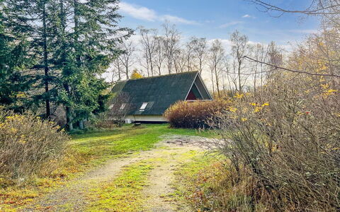 Maikel - 1Km from the Sea: Holz, Möbel, Wohnung, Zimmer, Decke, Holzbeize, Stuhl, Hartholz, Lack, Holz