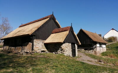 Maikel - 1Km from the Sea