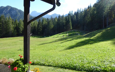 Baita Mountain View Pale San Martino: Grün, Ground, Frühling, Wiese, Garten, Rasen, Weide, Lärche, Landscaping, Senke