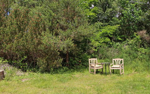 Mielikki - 2Km from the Sea: Vegetation, Strauch, Pflanzengemeinschaft, Ground, Garten, Naturschutzgebiet, Gartenmöbel, Shrubland, Wiese