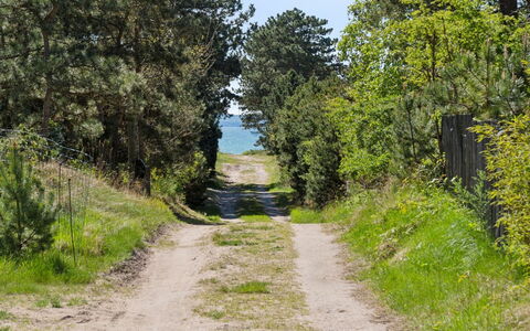 Dagino - 200M from the Sea: Vegetation, Strauch, Frühling, Hütte, Garten, Schatten, Hinterhof, Garten, Stuhl