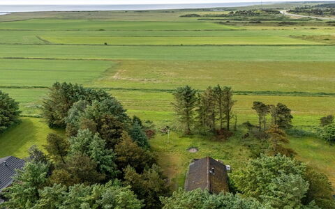 Brawith - 700M to the Fjord: Grün, Wiese, Einfach, Landschaft, Feld, Ökoregion, Grundstueck, Ländliches Gebiet, Luftaufnahmen