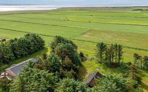 Brawith - 700M to the Fjord: Grün, Natürliche Landschaft, Wiese, Einfach, Feld, Landschaft, Ökoregion, Grundstueck, Ländliches Gebiet, Plantage
