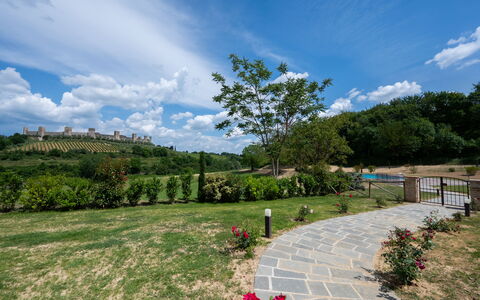 La Piazzetta, Borgo Campassini, Monteriggioni: Gras, Natur, Landschaft, Wiese, Strauch, Grundstueck, Einfach, Garten, Frühling, Plantage
