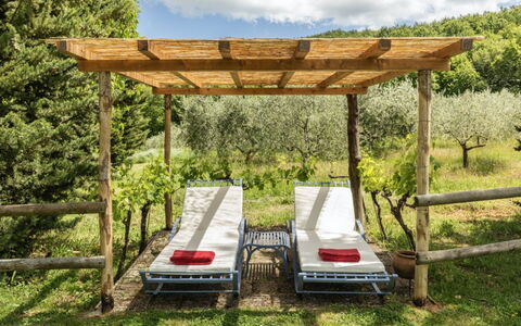 Podere Monti: Holz, Möbel, Gartenmöbel, Garten, Schatten, Hartholz, Holzbeize, Outdoor Struktur, Tisch Im Freien, Hinterhof
