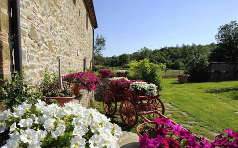 Mulino della Villa: Blume, Strauch, Garten, Rosa, Frühling, Landscaping, Blumentopf, Floristik, Garten, Zimmerpflanze