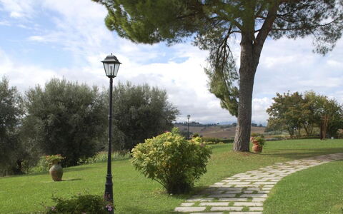 Villa del Lago: Baum, Blatt, Strauch, Garten, Kofferraum, Rasen, Gehölz, Schatten, Landscaping