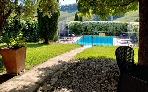 Il Bosco: Strauch, Garten, Schwimmbad, Schatten, Rasen, Hinterhof, Landscaping, Freizeit, Garten
