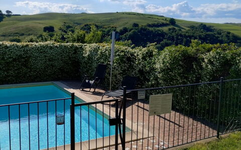 Il Bosco: Schwimmbad, Zaun, Grundstueck, Garten, Schatten, Rasen, Home Fechten, Hinterhof, Landscaping, Estate