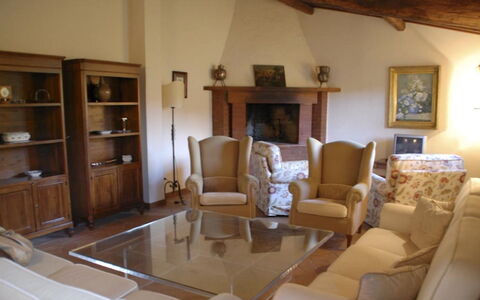 Magnolia e Camelia: Möbel, Interior Design, Flooring, Holz, Zimmer, Fussboden, Wohnzimmer, Tabelle, Stuhl, Couch