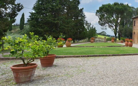 Il Tinaio: Strauch, Garten, Blumentopf, Landscaping, Flagstone, Walkway, Garten, Rasen, Hazienda