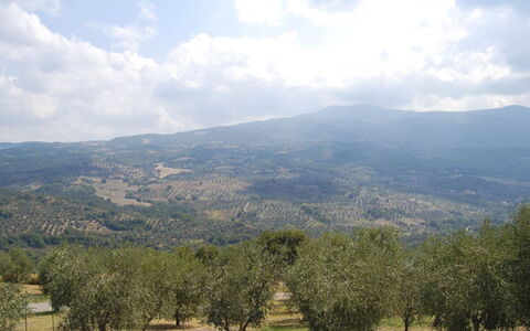 Poggio Aperto: Bergforms, Berg, Hügel, Vegetation, Hochland, Natürliche Landschaft, Ökoregion, Landschaft, Bergstation, Pflanzengemeinschaft