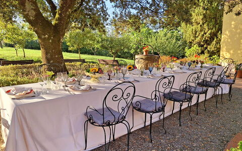 La Palazzina: Möbel, Tabelle, Tischdecke, Stuhl, Tisch Im Freien, Garten, Gartenmöbel, Linens, Restaurant