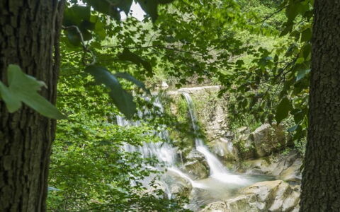 Mulino della Frateria: Wasservorräte, Wasser, Gewässer, Natur, Natürlichen Umgebung, Natürliche Landschaft, Ast, Strom, Wasserlauf, Vegetation