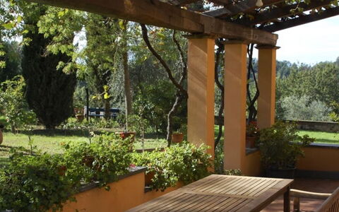 Podere Torre: Holz, Strauch, Garten, Pflanzengemeinschaft, Schatten, Ground, Hinterhof, Outdoor Struktur, Landscaping