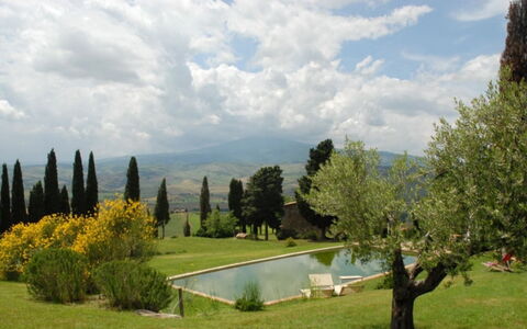 Vallocchie: Baum, Gras, Landschaft, Einfach, Grundstueck, Garten, Landscaping, Wiese, Rasen