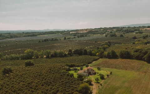 Bagnoletto: Wiese, Feld, Einfach, Landschaft, Plantage, Ländliches Gebiet, Landwirtschaft, Grundstueck, Wiese, Weide