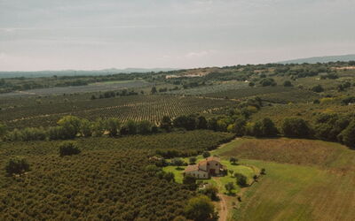 Bagnoletto