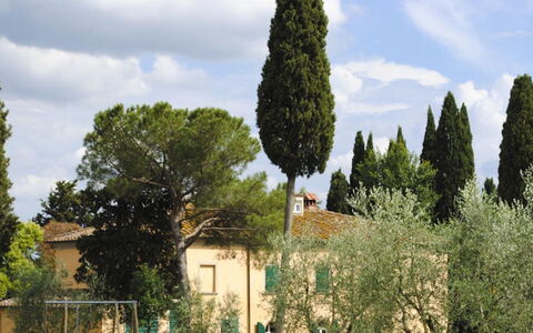 Villa Il Poggio: Baum, Blatt, Ast, Gehölz, Immergrün, Landscaping, Pine Familie