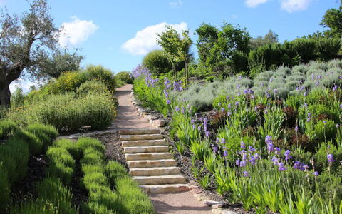 Villa del Cammino: Vegetation, Strauch, Garten, Landschaft, Pflanzengemeinschaft, Ground, Frühling, Botanischer Garten, Weg
