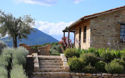 Villa del Cammino: Wand, Strauch, Landschaft, Ländliches Gebiet, Hütte, Pflanzengemeinschaft, Grundstueck, Steinwand, Garten