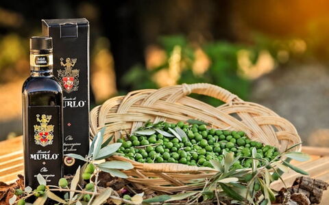 Villa Santa: Flasche, Wein, Glasflasche, Essen, Produzieren, Natural Foods