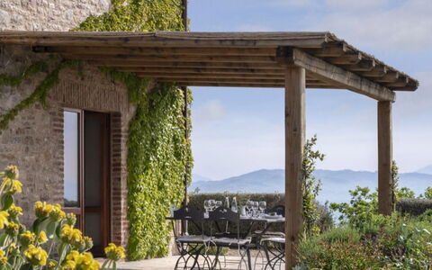 Villa Santa: Strauch, Gartenmöbel, Grundstueck, Garten, Blumentopf, Balkon, Schatten, Landscaping, Tisch Im Freien