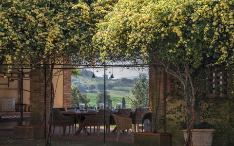 Villa Moscato: Garten, Schatten, Zimmerpflanze, Hinterhof, Blumentopf