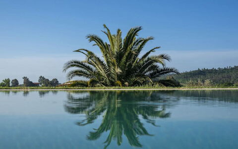 Villa Moscato: Blau, Wasser, Gewässer, Reflexion, See, Schwimmbad, Reservoir, Tropen, Reflecting Pool