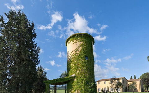 Villa Il Serraglio: Gras, Strauch, Grundstueck, Feld, Garten, Rasen, Wiese, Landscaping, Estate, Plantage