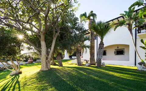 Villa Luna Blu: Baum, Die Architektur, Schatten, Garten, Estate, Landscaping, Hazienda, Resort