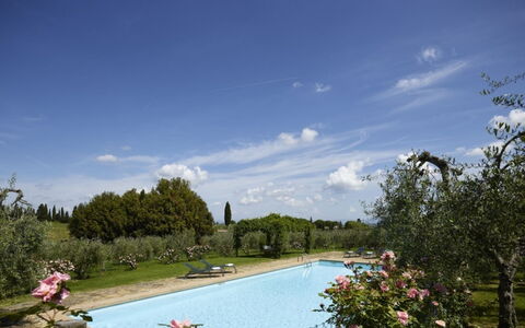Villa del Riccio: Strauch, Garten, Estate, Landscaping, Hazienda, Villa, Schwimmbad, Plantage, Hof, Bauernhaus