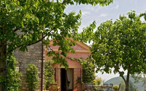 Villa Savino: Blatt, Strauch, Frühling, Garten, Schatten, Plantage