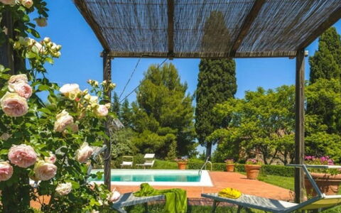 Podere Contignano: Strauch, Garten, Frühling, Landscaping, Schatten, Hinterhof, Garten, Eco Hotel, Hazienda, Botanischer Garten